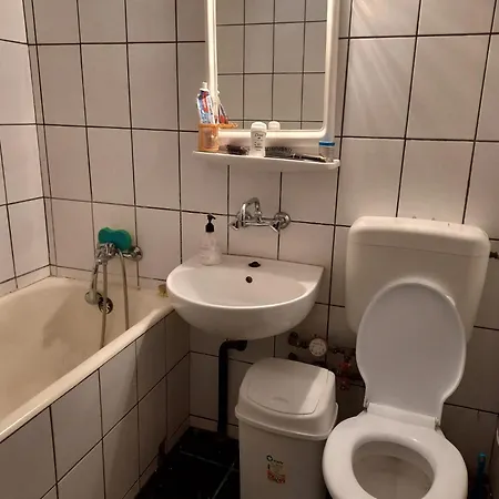 Apartament Sat-Vacanta Apartment *